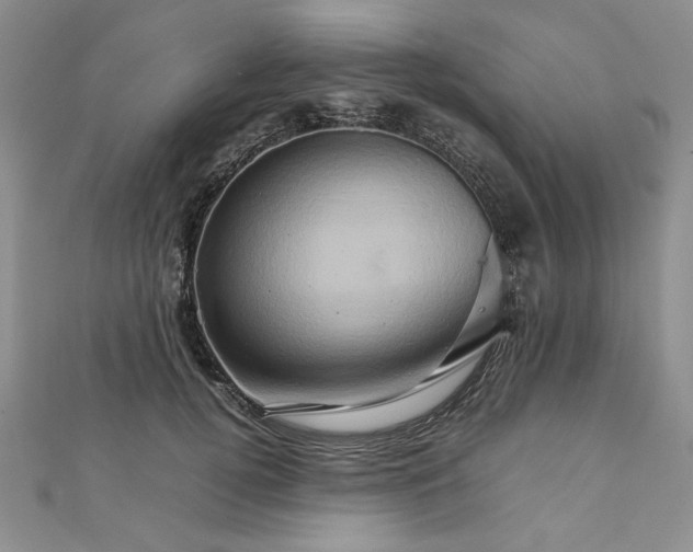 X0000111900752200908101140