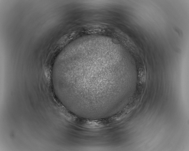 X0000111900753200908101140