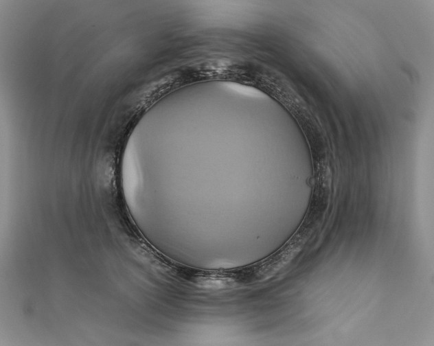 X0000111900754200908101140