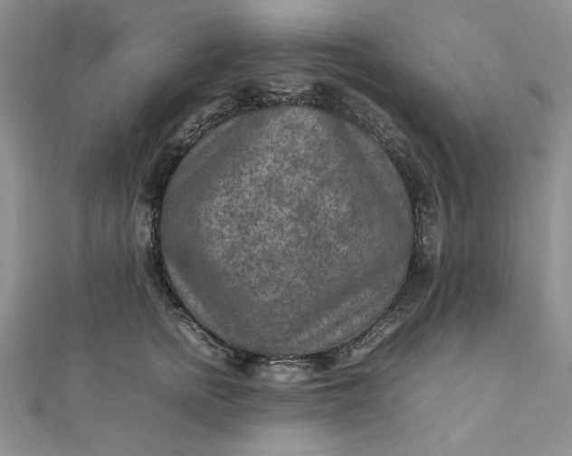 X0000111900758200908101140