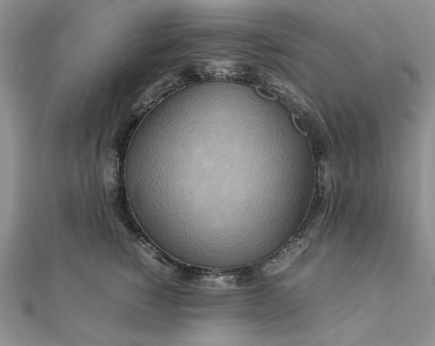 X0000111900760200908101140