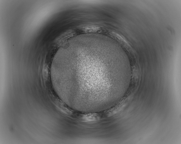 X0000111900761200908101140