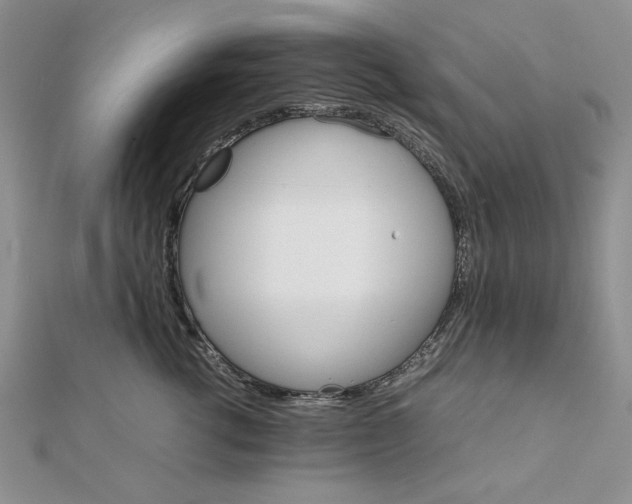 X0000111900762200908101140