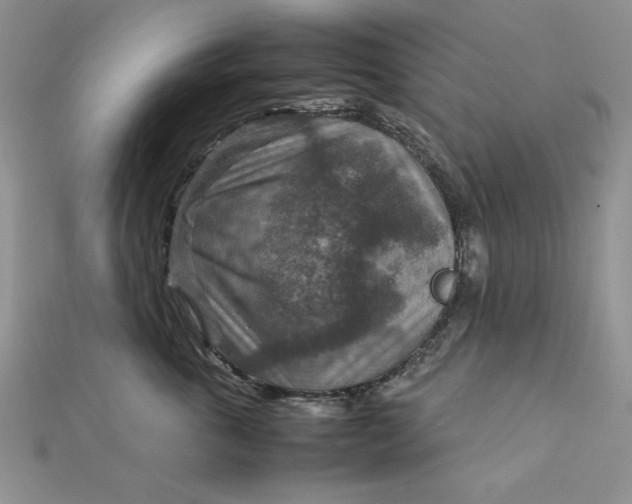 X0000111900763200908101140