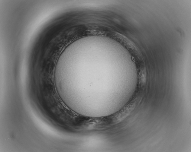 X0000111900764200908101140