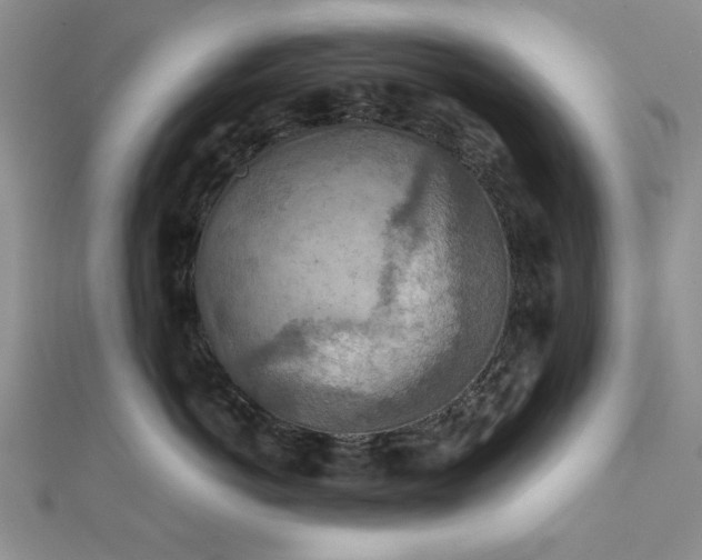 X0000111900766200908101140