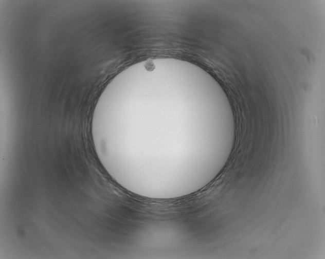 X0000111900768200908101140