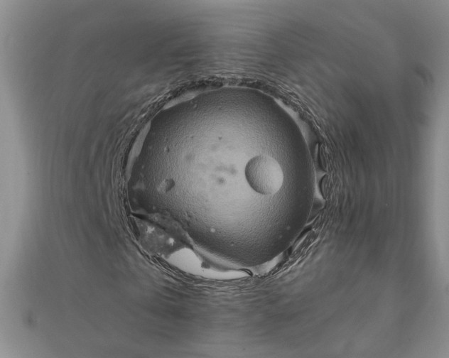 X0000111900769200908101139