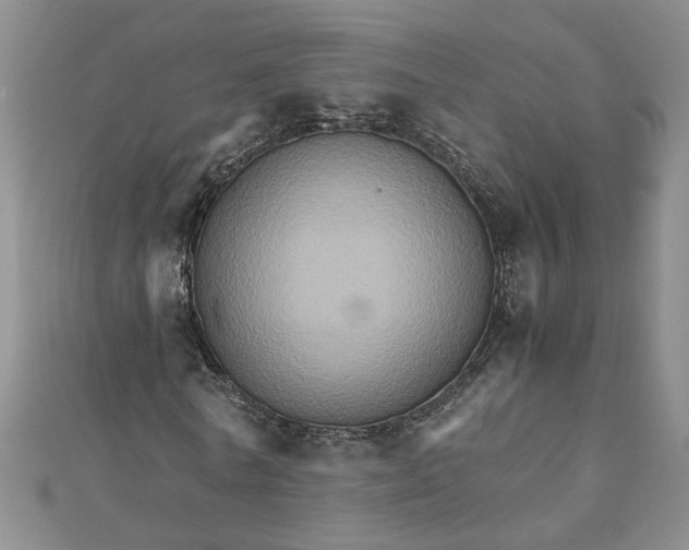 X0000111900770200908101139