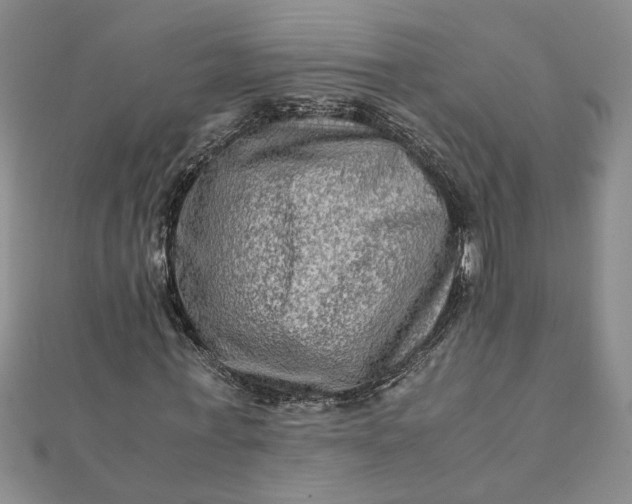 X0000111900771200908101139