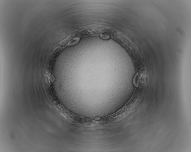 X0000111900772200908101139