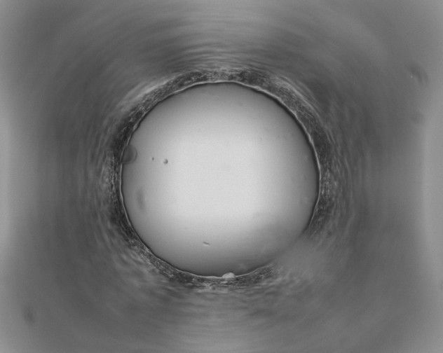 X0000111900773200908101139