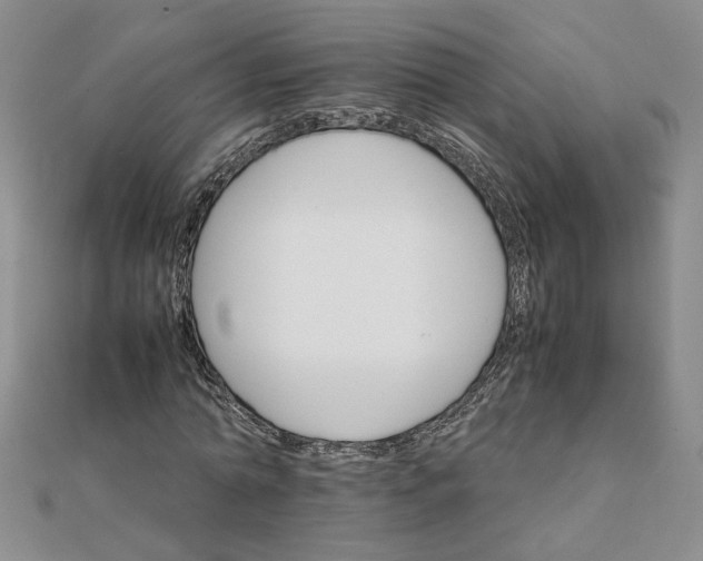 X0000111900774200908101139