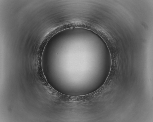 X0000111900776200908101139