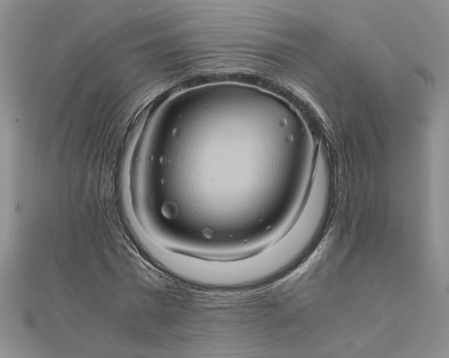 X0000111900777200908101139