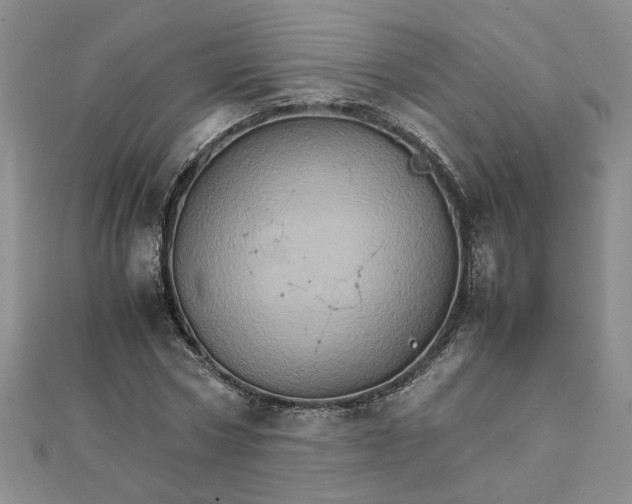 X0000111900778200908101139