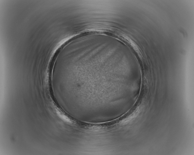 X0000111900779200908101139