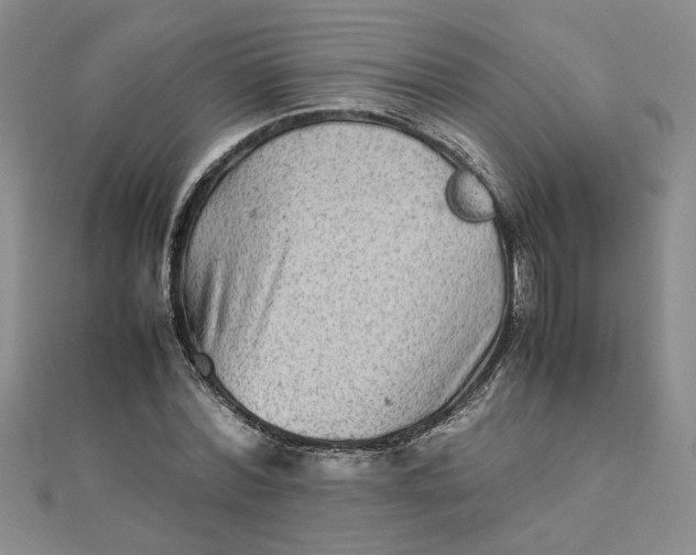 X0000111900780200908101139