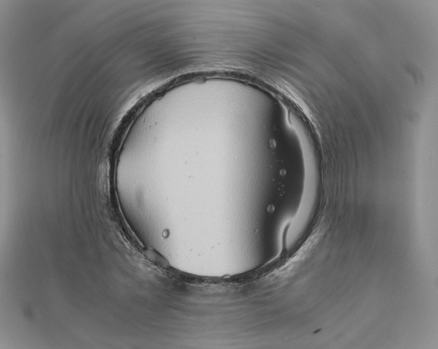 X0000111900781200908101139