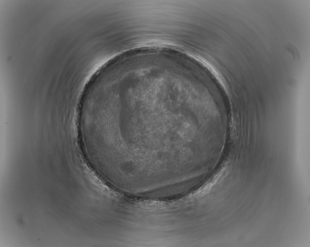 X0000111900783200908101139