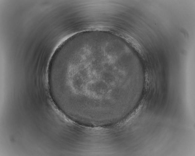 X0000111900784200908101139