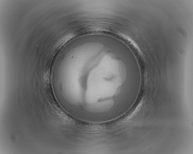 X0000111900785200908101139