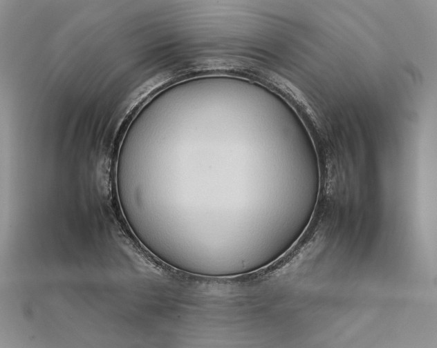 X0000111900786200908101139