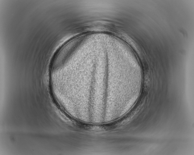 X0000111900787200908101139