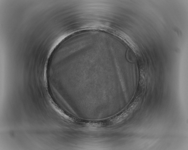 X0000111900788200908101139