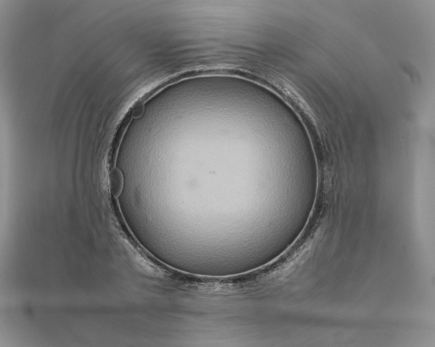 X0000111900789200908101139