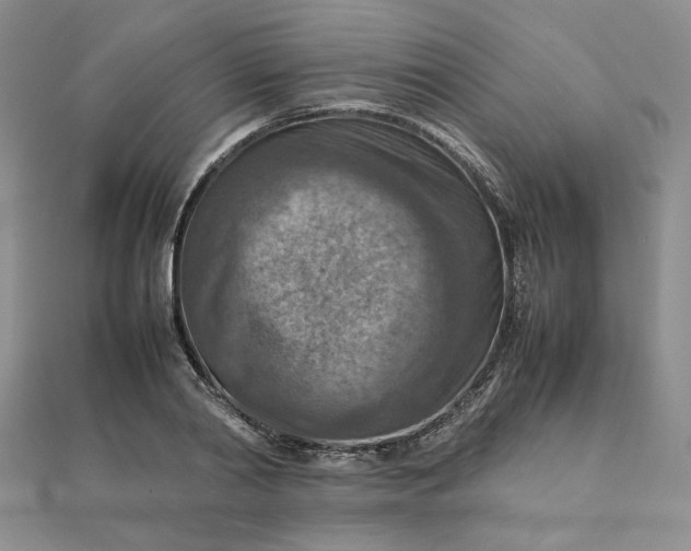 X0000111900790200908101139