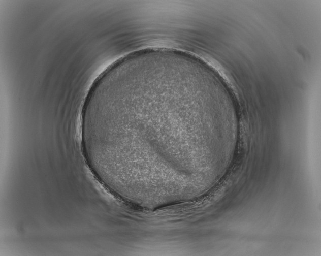 X0000111900791200908101139