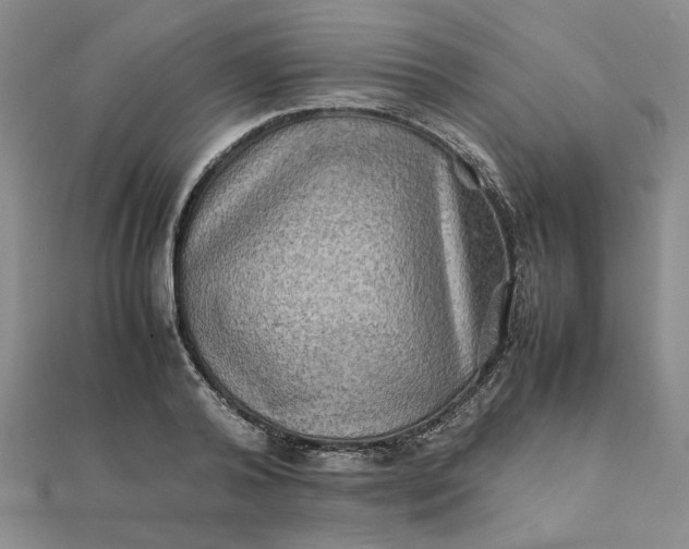 X0000111900792200908101139