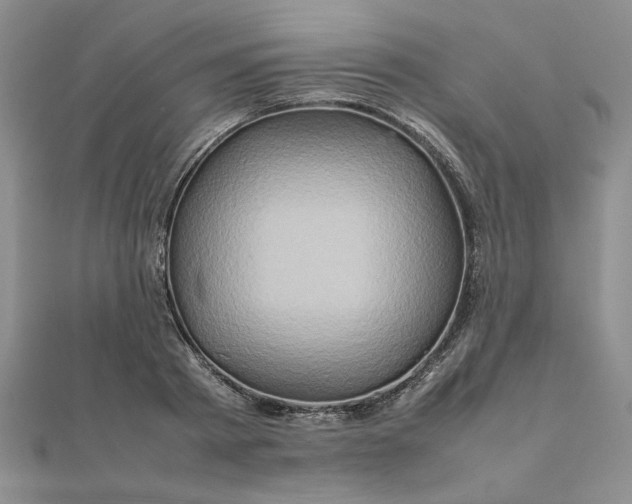 X0000111900793200908101139