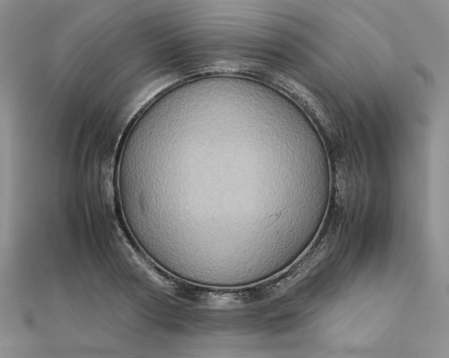 X0000111900794200908101139