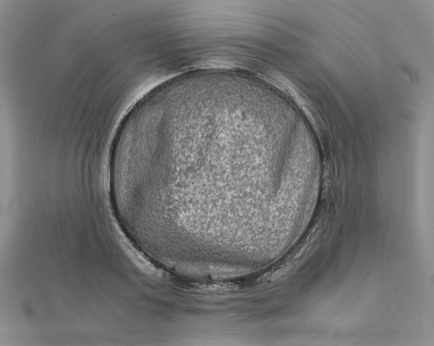 X0000111900795200908101139