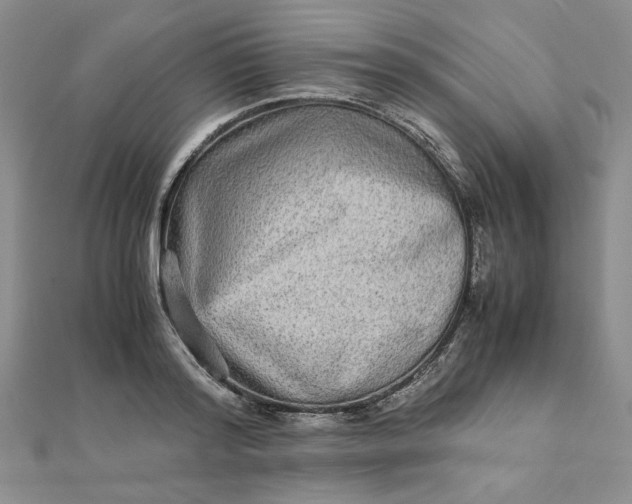 X0000111900796200908101139