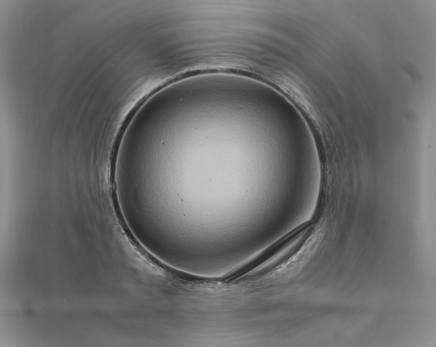 X0000111900797200908101139