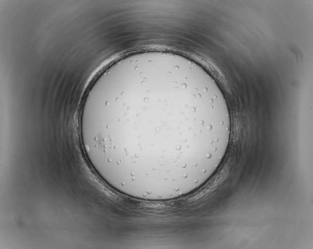 X0000111900798200908101139