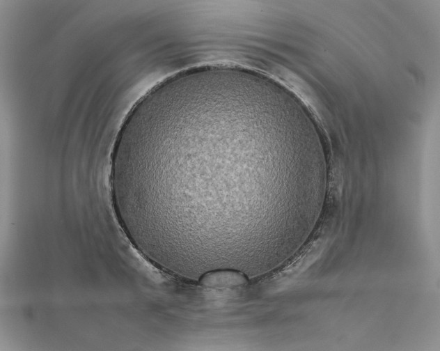 X0000111900799200908101139