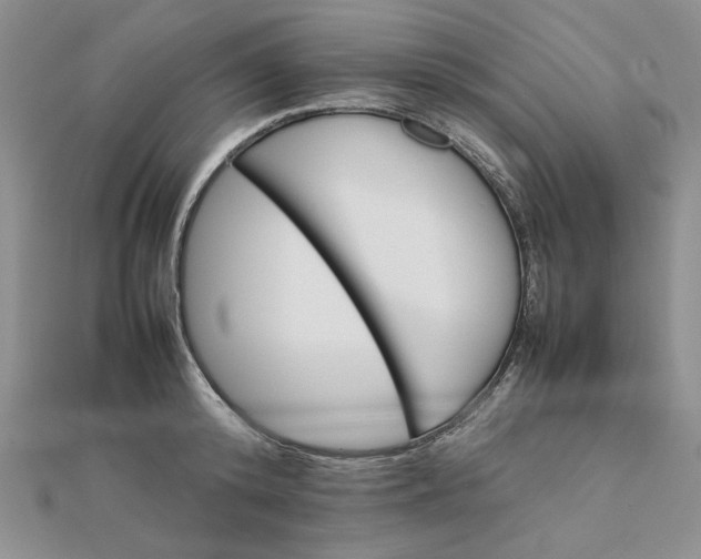 X0000111900800200908101139