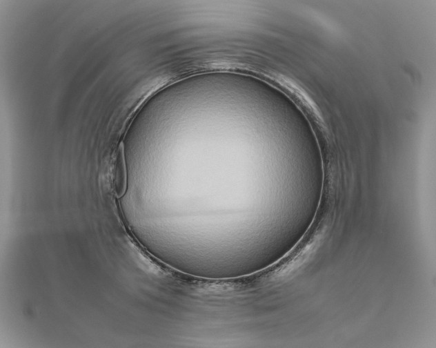 X0000111900801200908101139