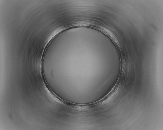 X0000111900802200908101139