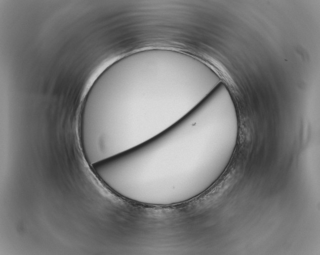 X0000111900804200908101139