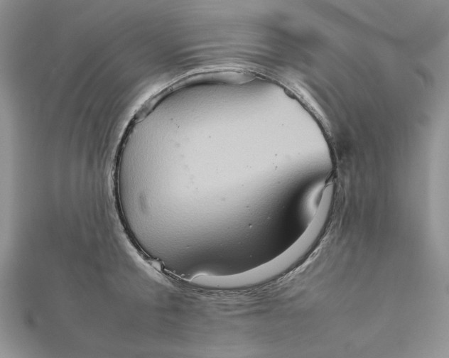 X0000111900805200908101139