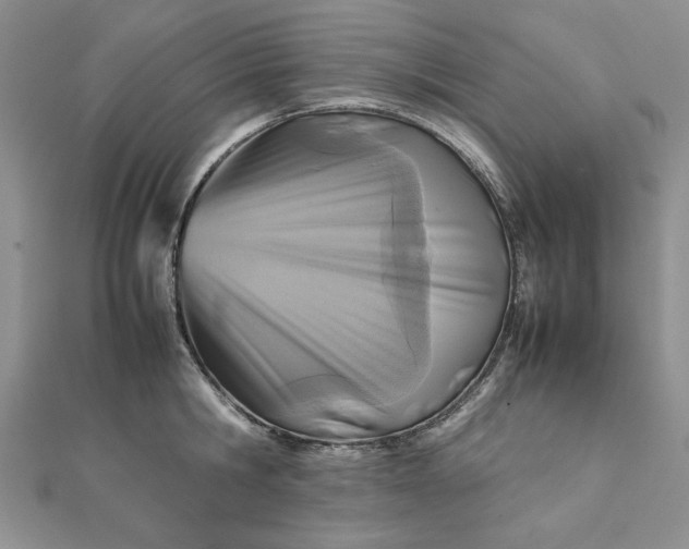 X0000111900806200908101139