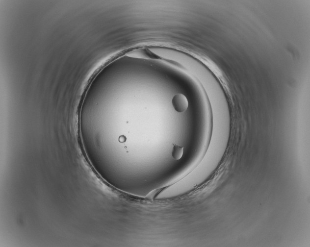 X0000111900807200908101139