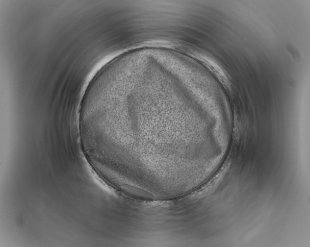 X0000111900808200908101139