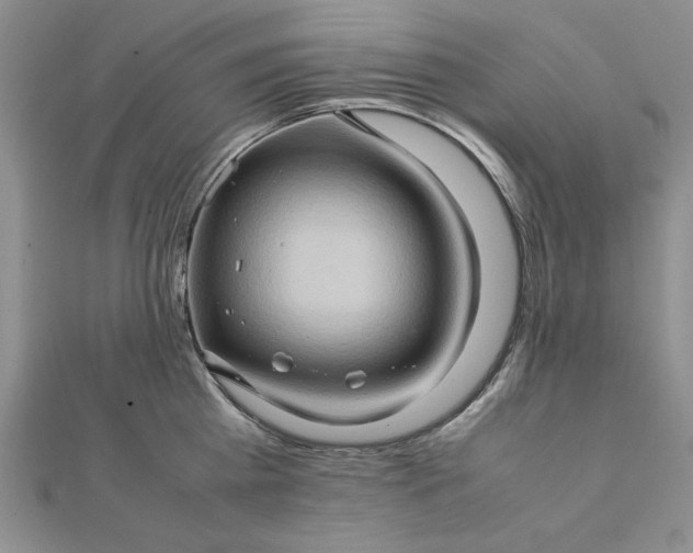 X0000111900809200908101139