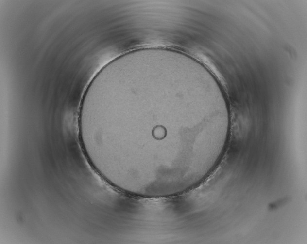 X0000111900810200908101139